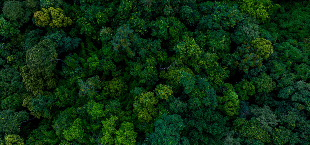 A New Era for Corporate Sustainability Reporting in Greece A New Era for Corporate Sustainability Reporting in Greece