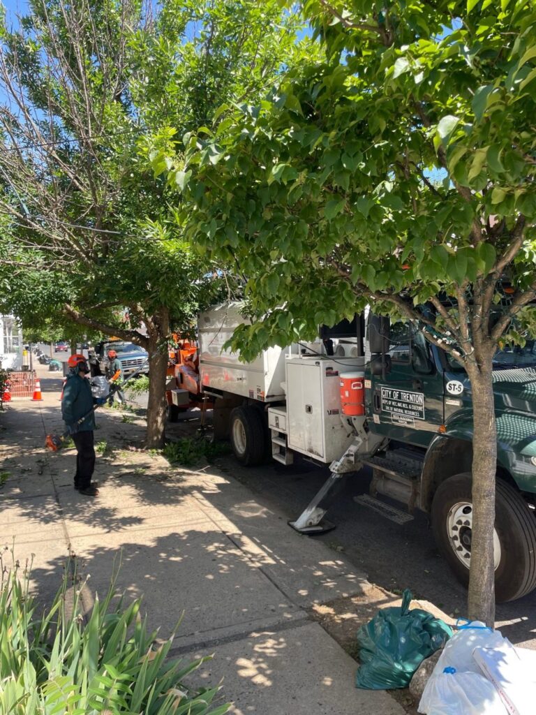 Trees in Trenton help the environment and the psyche (L.A. PARKER COLUMN)