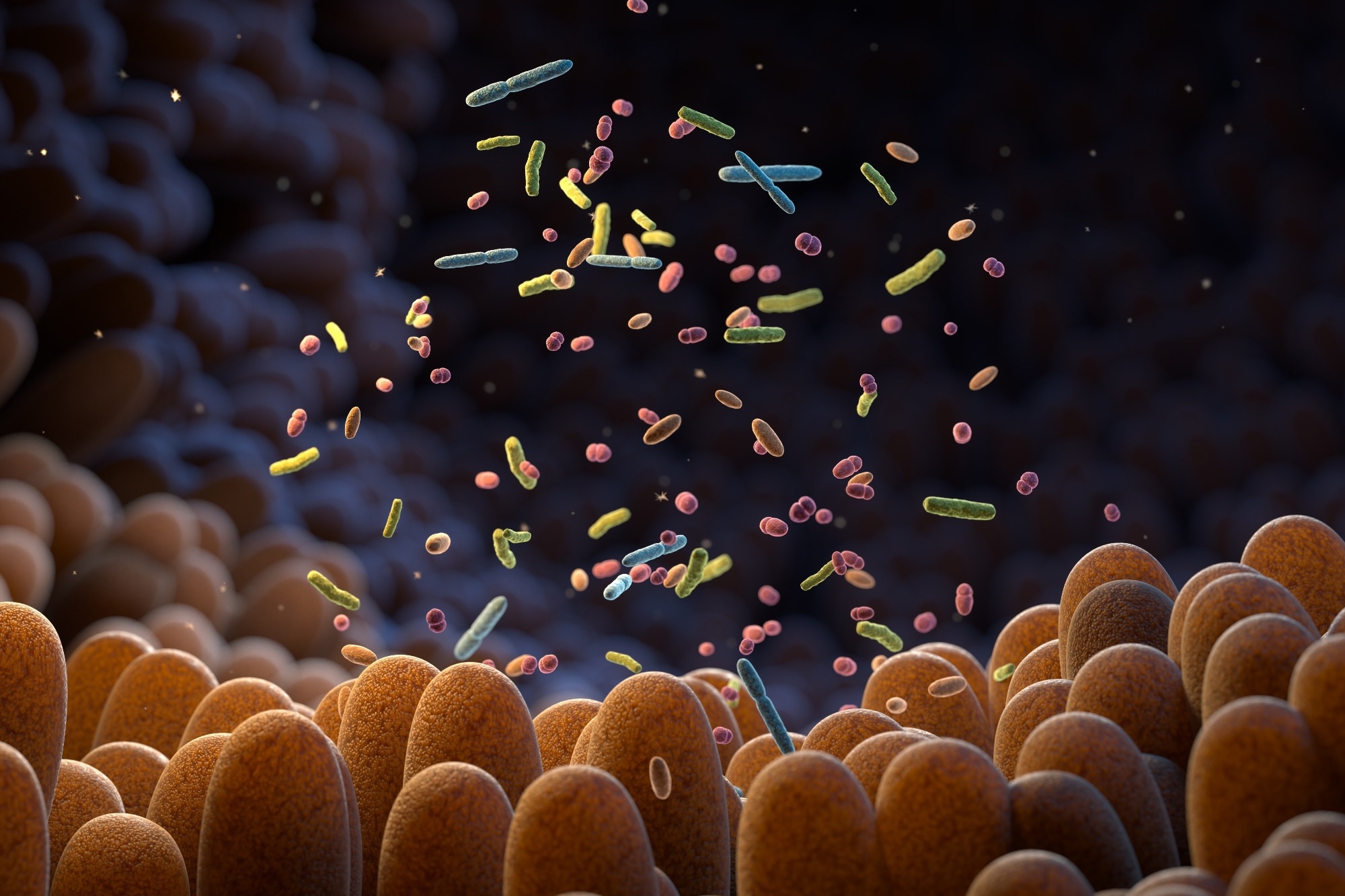 Study: Association between gut microbiome profiles and host metabolic health across the life course: a population-based study. Image Credit: Tatiana Shepeleva / Shutterstock