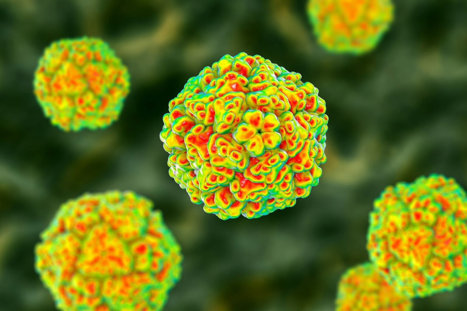 Rare enterovirus strain in Spain raises alarms over potential outbreaks Rapid communication: Detections of rare enterovirus C105 linked to an emerging novel clade, Spain, 2019 to 2024. Image Credit: Kateryna Kon / Shutterstock