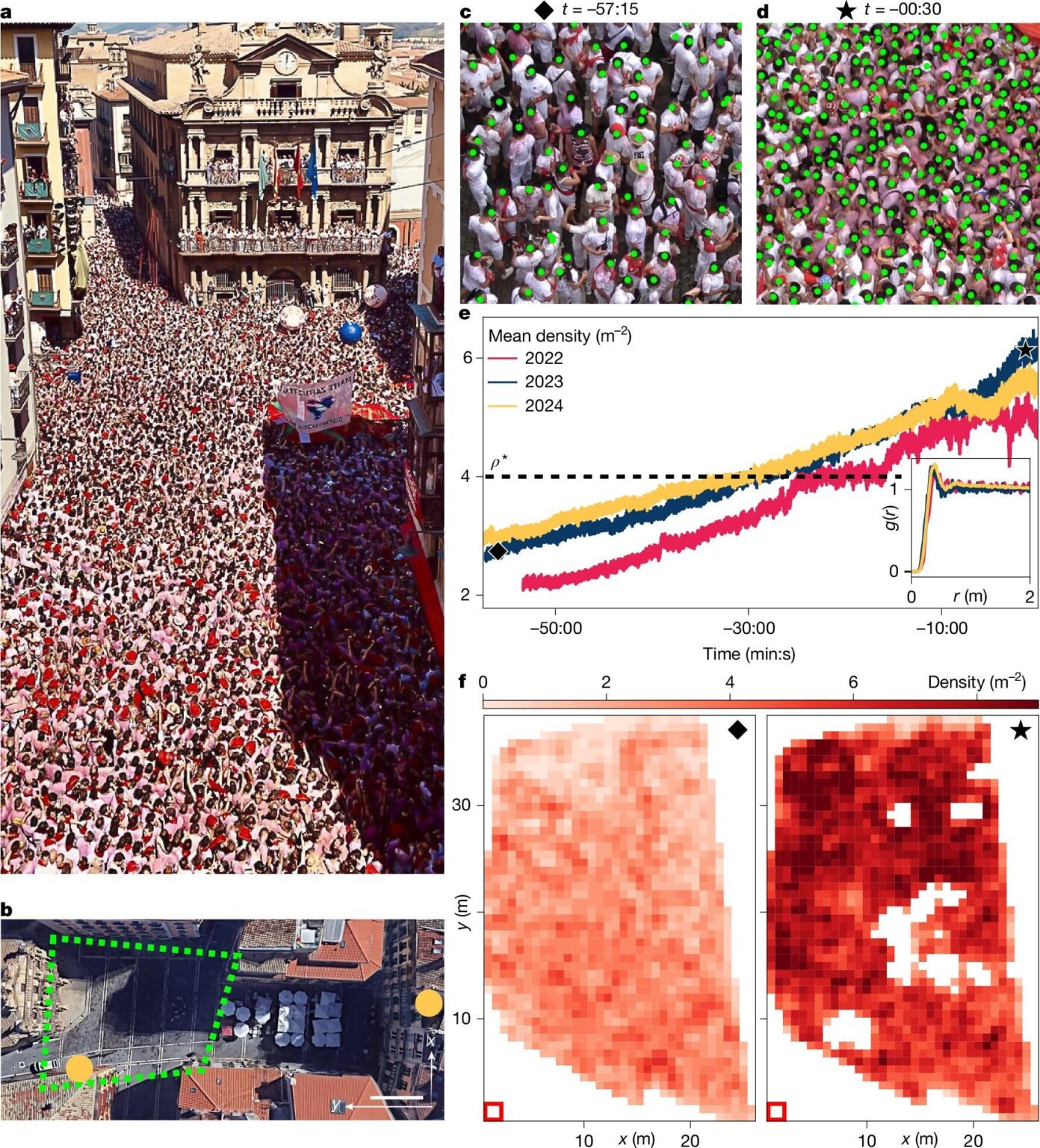 PHYS.Org: "Spanish 'running of the bulls' festival reveals crowd movements can be predictable, above a certain density"
