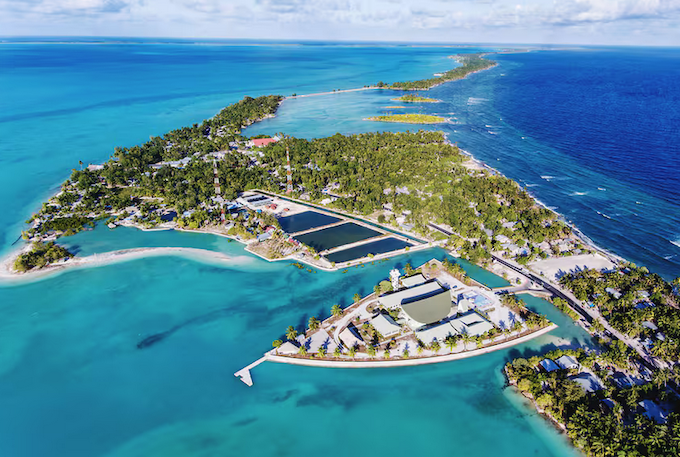NZ-Kiribati fallout: Maamau’s inability to engage with NZ difficult to defend Avatar photo