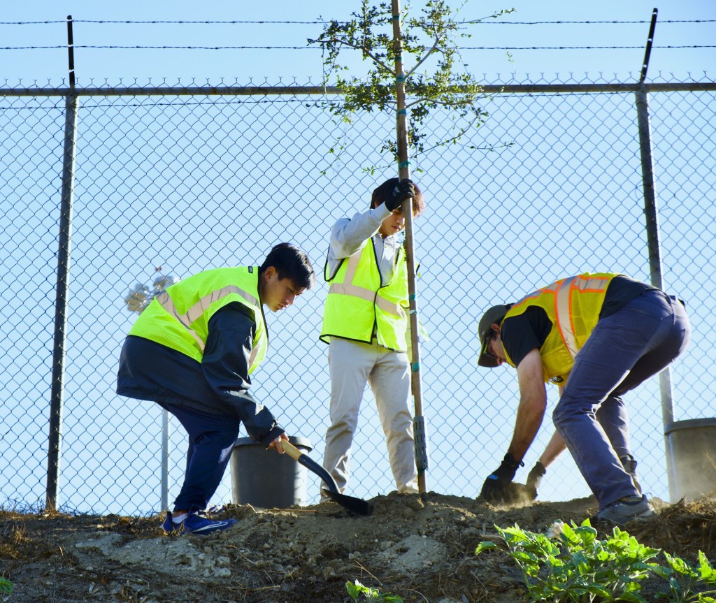 Trump funding freeze halts key environmental projects in Los Angeles area – Daily News Trump funding freeze halts key environmental projects in Los Angeles area – Daily News