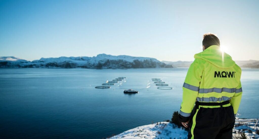 Mowi reports salmon escape in northern Norway