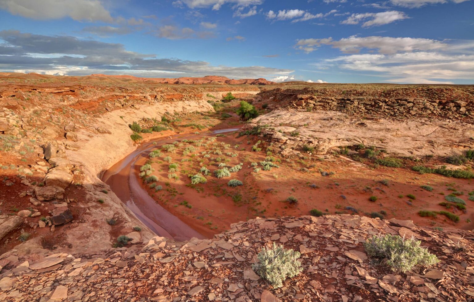 SUWA Statement on Trump Administration Efforts to Make Federal Environmental Decisions Behind Closed Doors, Without Any Public Input SUWA Statement on Trump Administration Efforts to Make Federal Environmental Decisions Behind Closed Doors, Without Any Public Input