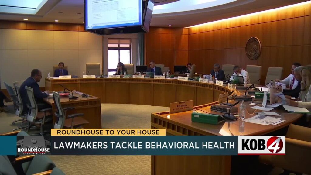 State lawmakers discuss gaps in behavioral health system