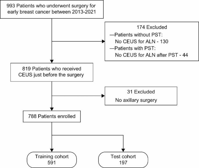 Artificial intelligence can extract important features for diagnosing axillary lymph node metastasis in early breast cancer using contrast-enhanced ultrasonography