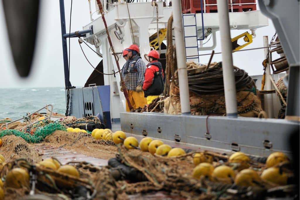 It Is Time For New Zealand to Cease Bottom Trawling It Is Time For New Zealand to Cease Bottom Trawling