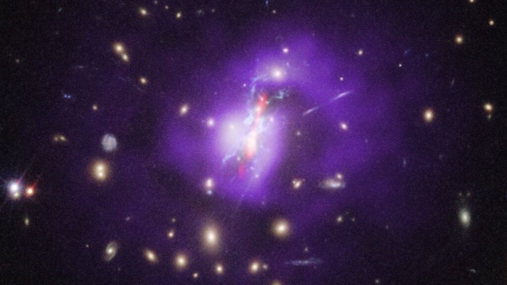 James Webb Space Telescope learns how a cosmic phoenix cools off to birth stars