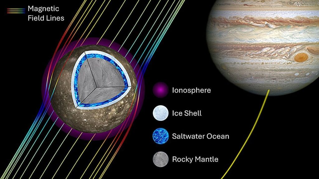 Jupiter's moon Callisto is very likely an ocean world