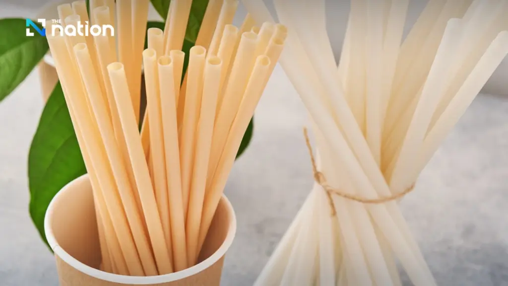 Paper straws are not safe for health and the environment nationthailand