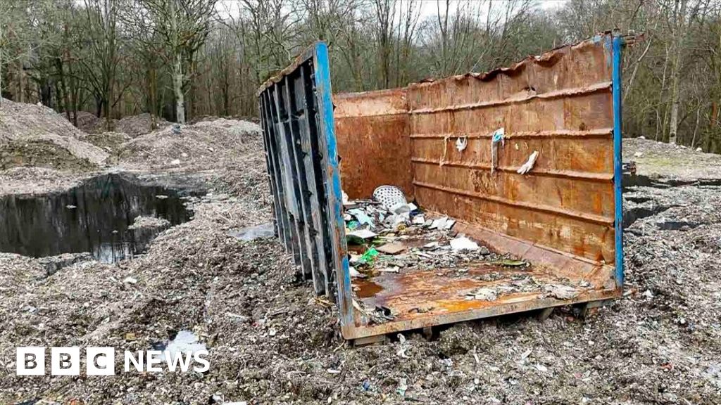 Criminal gangs ruining environment, says watchdog