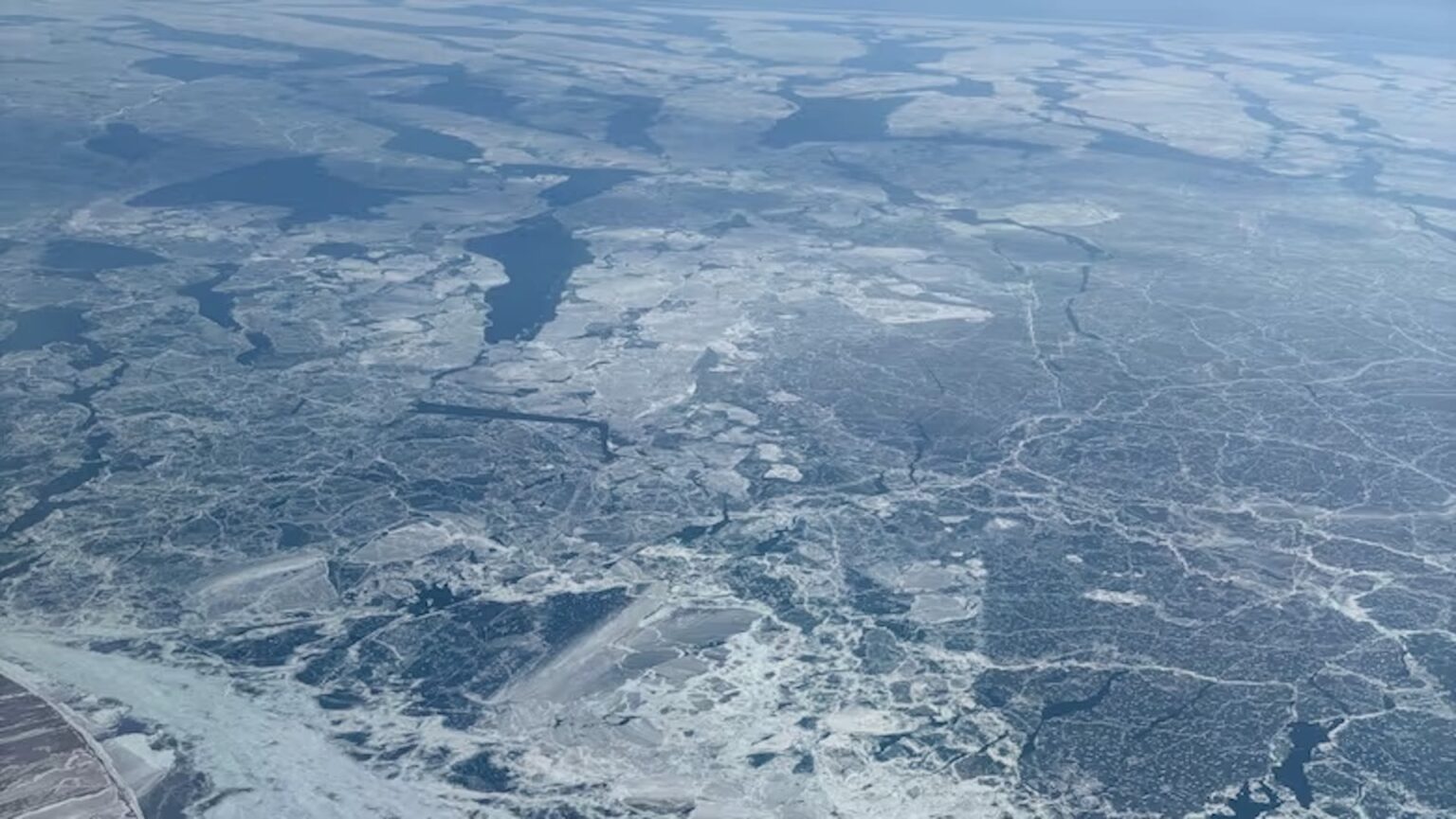 Lake Erie was nearly frozen over this winter. What it means for the environment Lake Erie was nearly frozen over this winter. What it means for the environment