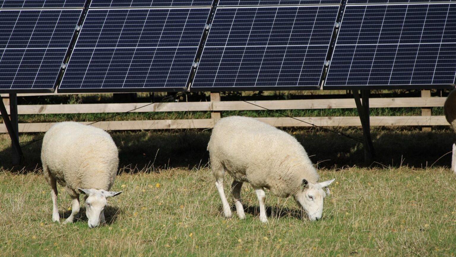 The study’s results are in line with a number of others that have demonstrated major success stories.