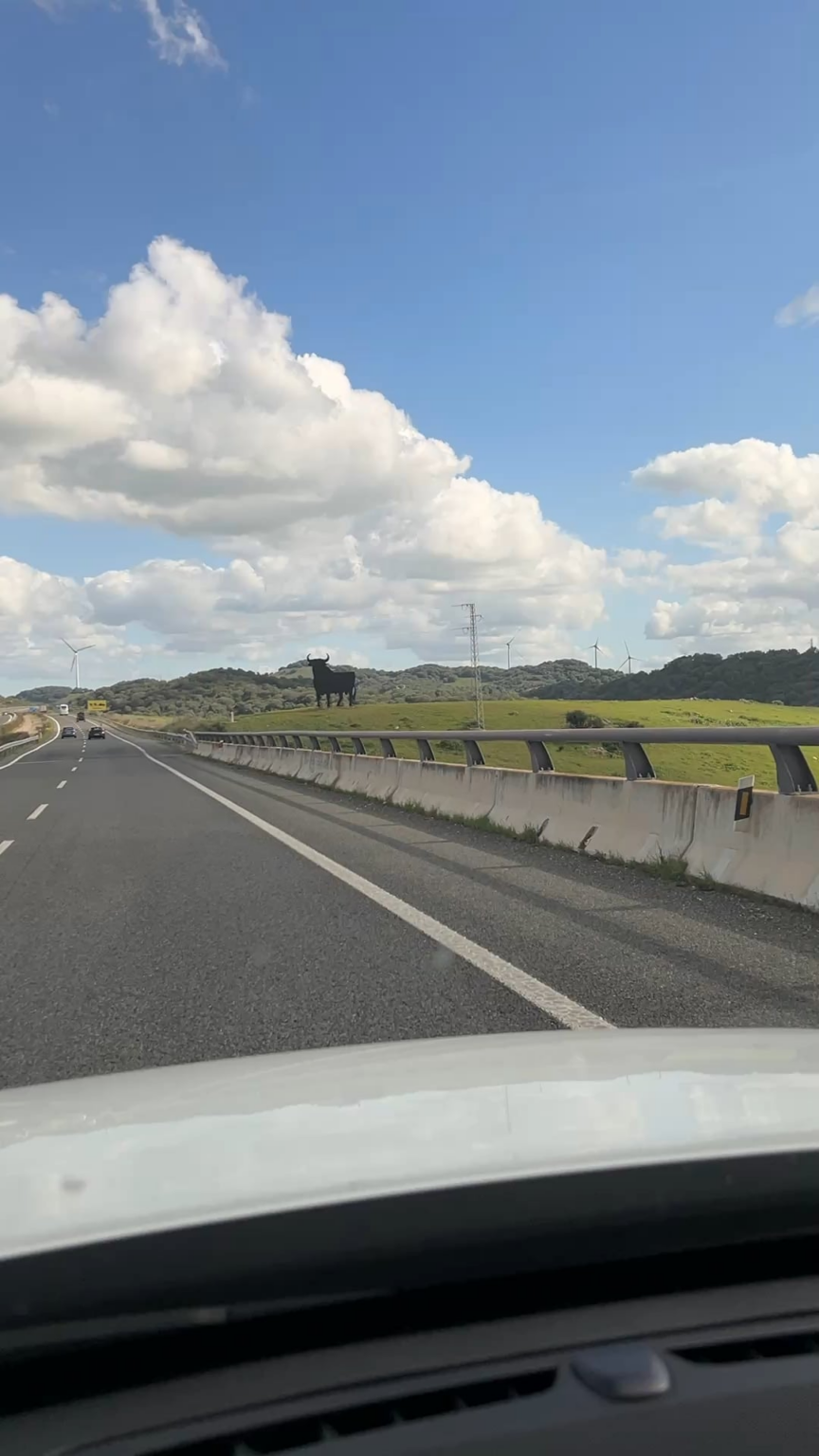 There is no doubt in which country you are when you see this on the highway… 🇪🇸