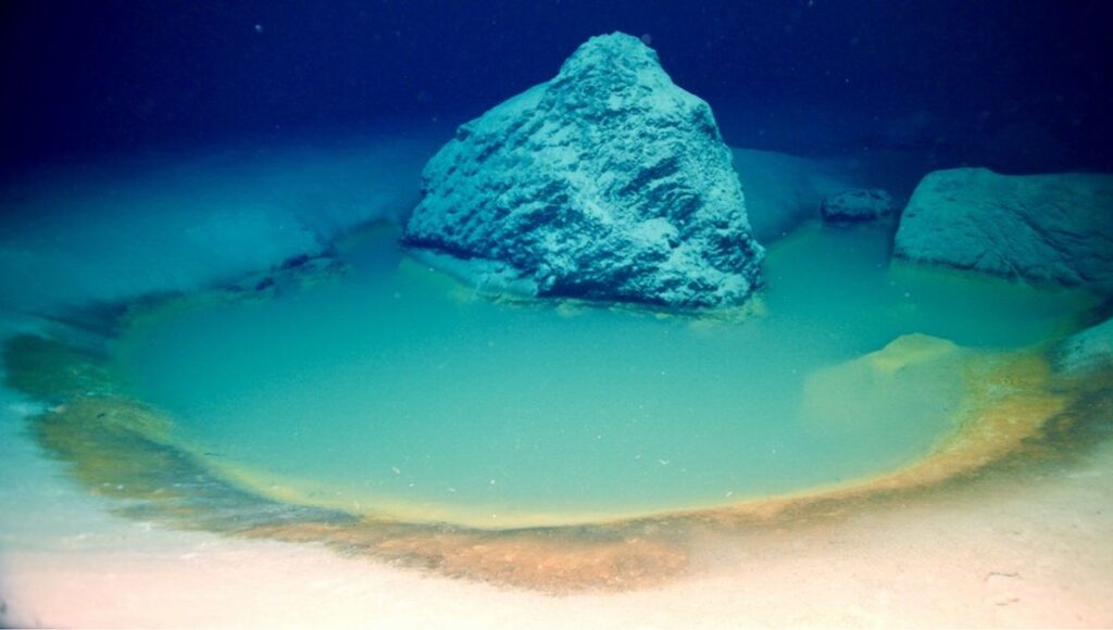 Rare Red Sea Brine Pools Are One Of The Most Extreme Environments On Earth Rare Red Sea Brine Pools Are One Of The Most Extreme Environments On Earth