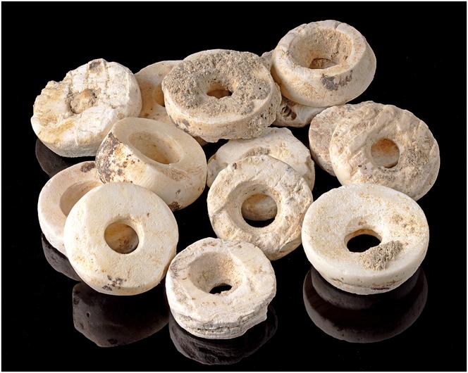 Composite photograph of beads weighing an average of 0.0708 grams and measuring 5 millimeters in diameter, taken from a ton of scallops found at the Montelirio site in southern Spain.