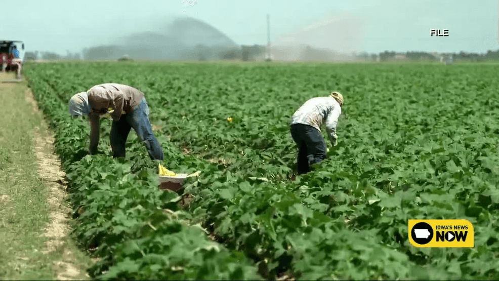 Experts warn a decline in immigration could impact Iowa’s economic growth CBS logo
