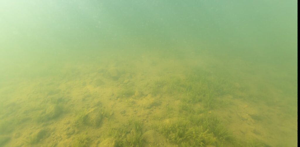Lake beds are rich environmental records — studying them reveals much about a place’s history