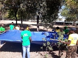 iciHaiti - Environment : 2025 campaign for collecting native and endemic seeds