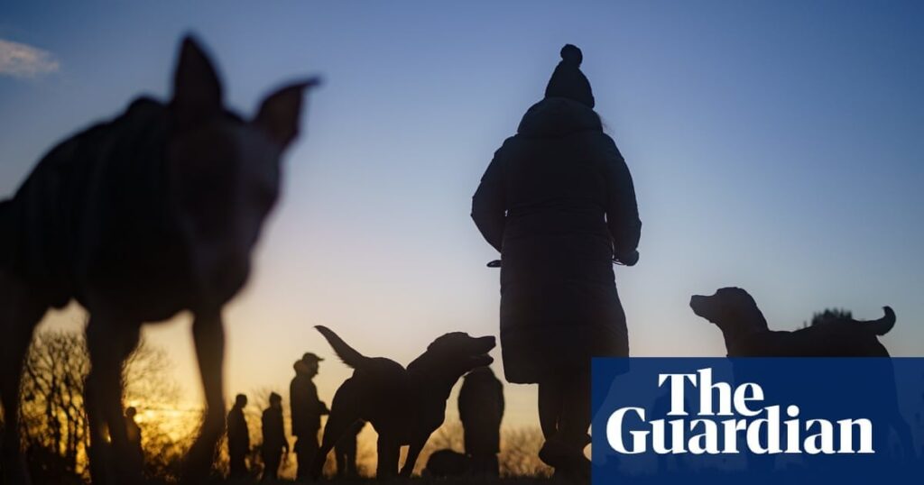 DJ, dog walker and homeopath among roles on UK skilled worker visa list | Immigration and asylum