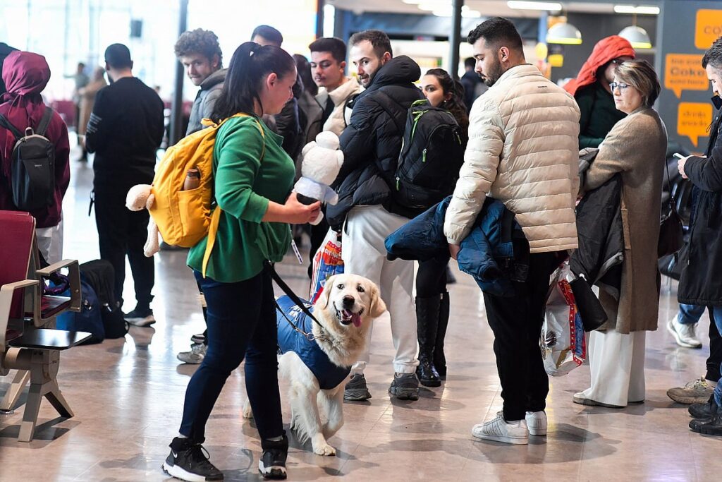 North Macedonia’s zen dog aids anxious travellers North Macedonia's zen dog aids anxious travellers