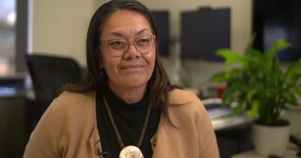 Health NZ chief executive steps down