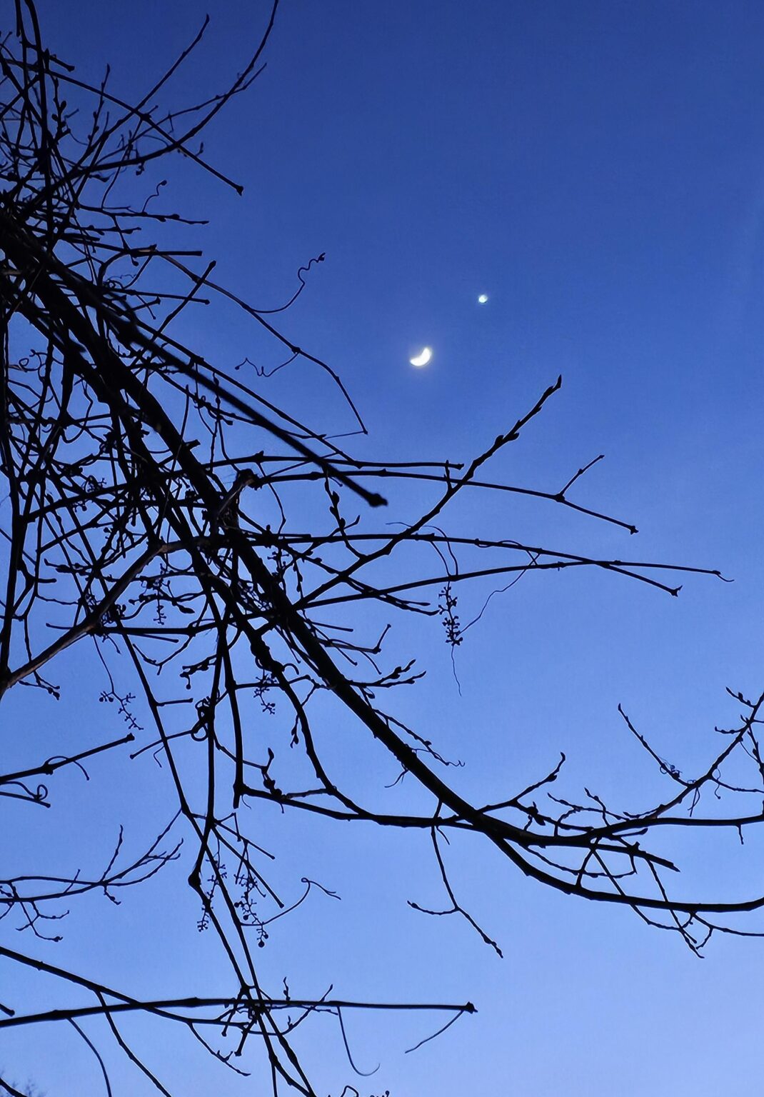Venus and the Moon