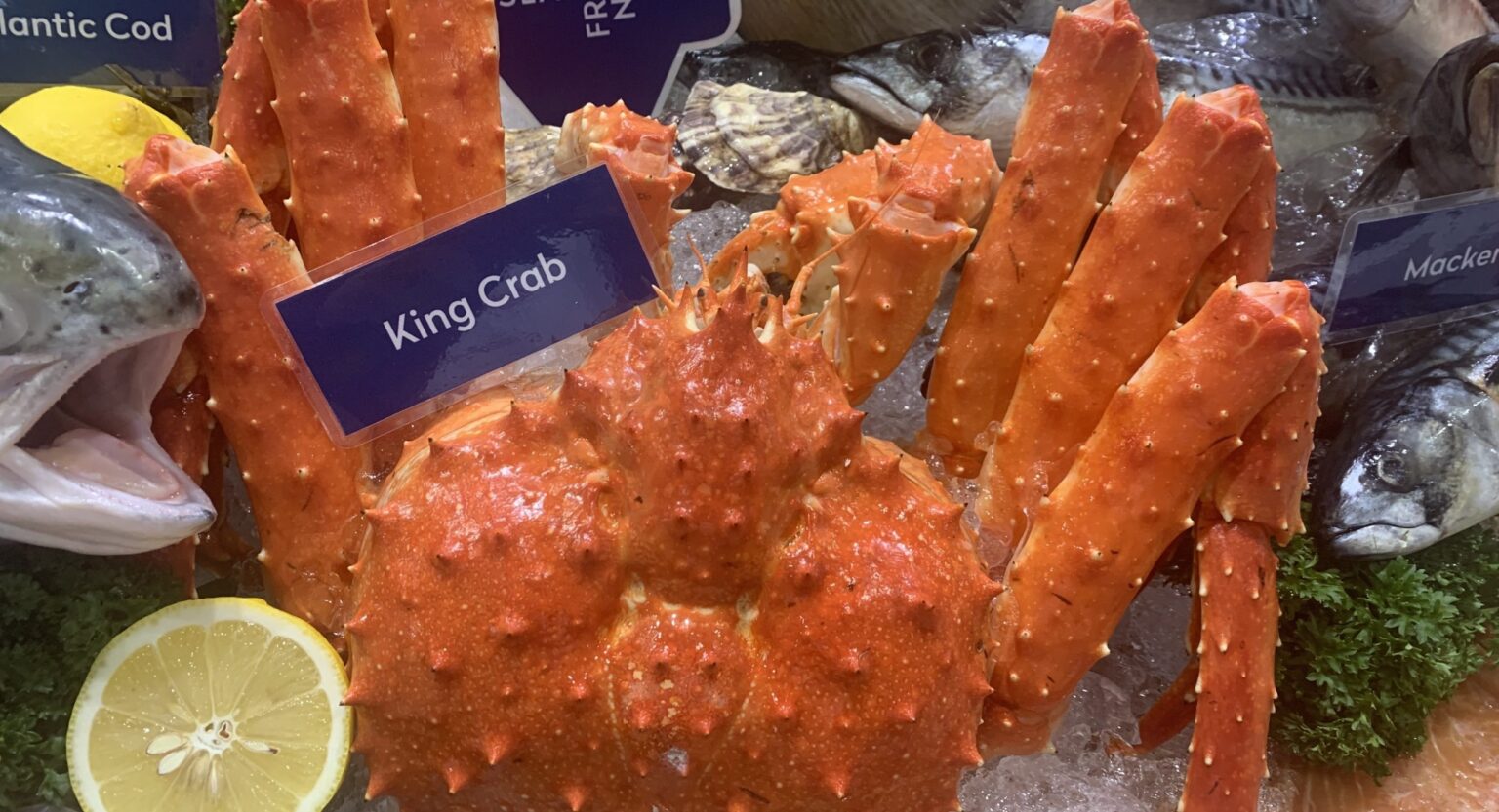 Norway male king crab prices decline, but stronger sales volumes offer relief