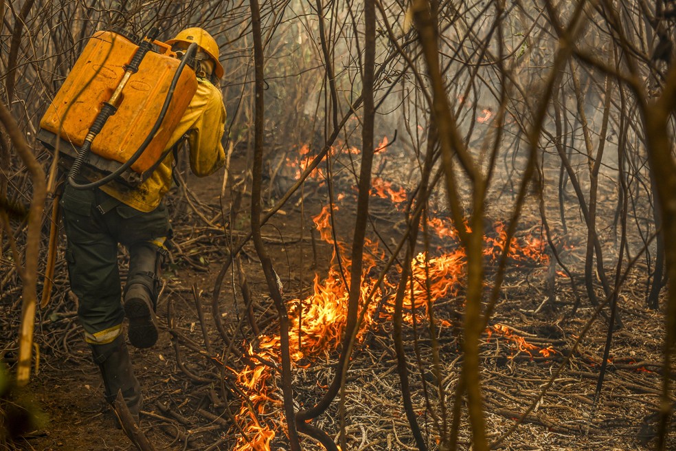 Volunteer firefighters of a Quilombo community in Kalunga, Goiás, try to contain wildfires in Brazil’s Pantal wetland region — Foto: Marcelo Camargo/Agência Brasil