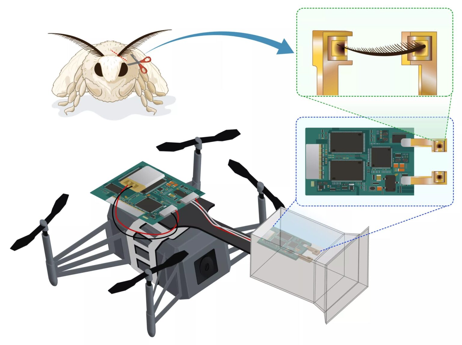 Scientists attach insect antennae to drones for smell-based navigation