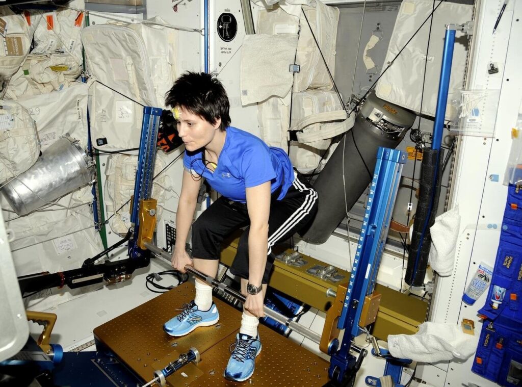 Jumping workouts could help astronauts on the moon and Mars, study in mice suggests - Johns Hopkins study hints at likely way to counter cartilage damage in long space journeys