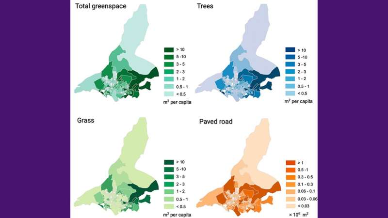 Spatial distribution of total greenspace, trees, and grass in meters squared per capita, and areas of paved road in Karachi, union councils. Credit: NYU Tandon School of Engineering New AI system accurately maps urban green spaces, exposing environmental divides