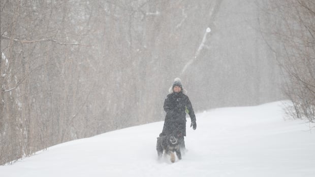 Strong winds hamper cleanup efforts as winter storm drops heavy snowfall on Ottawa