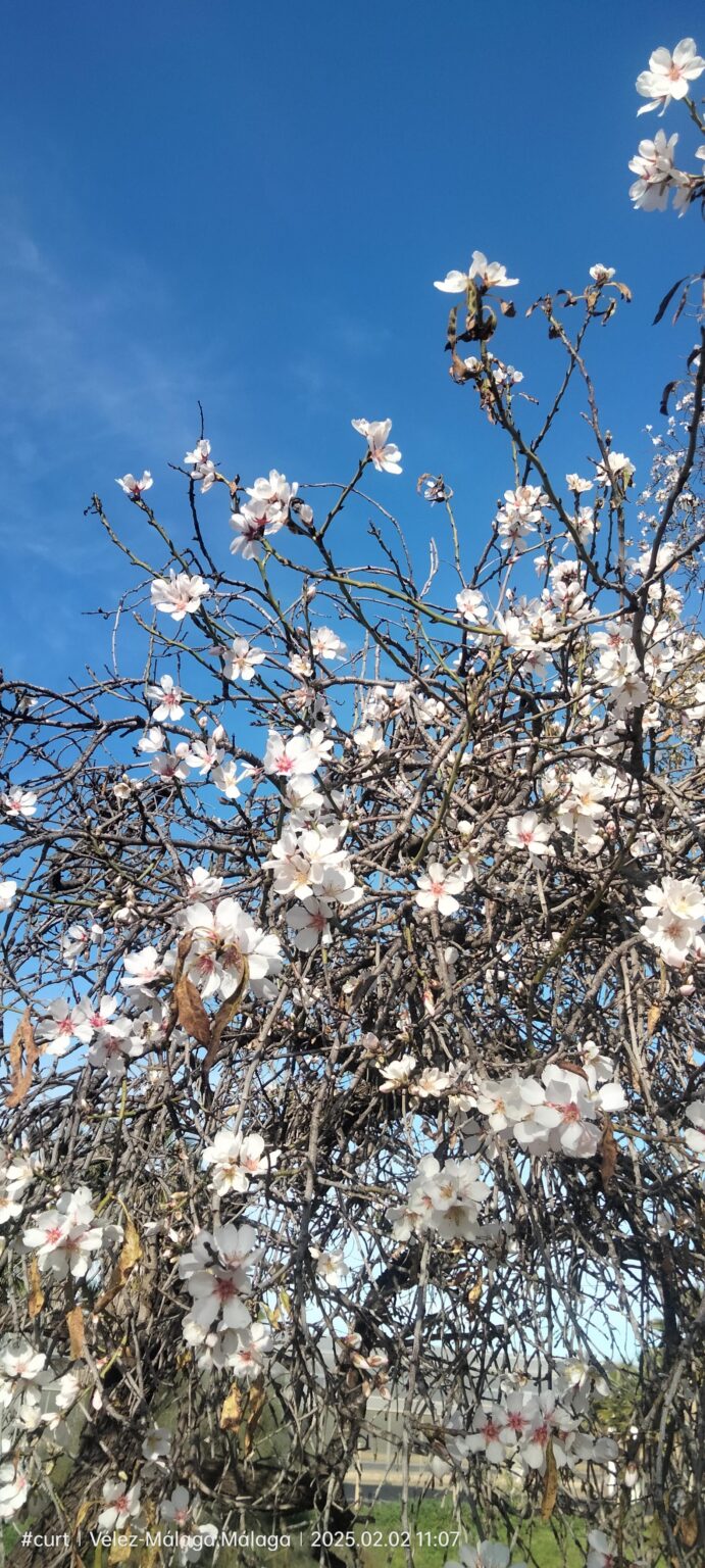 The spring is closing in here in Spain ❤️