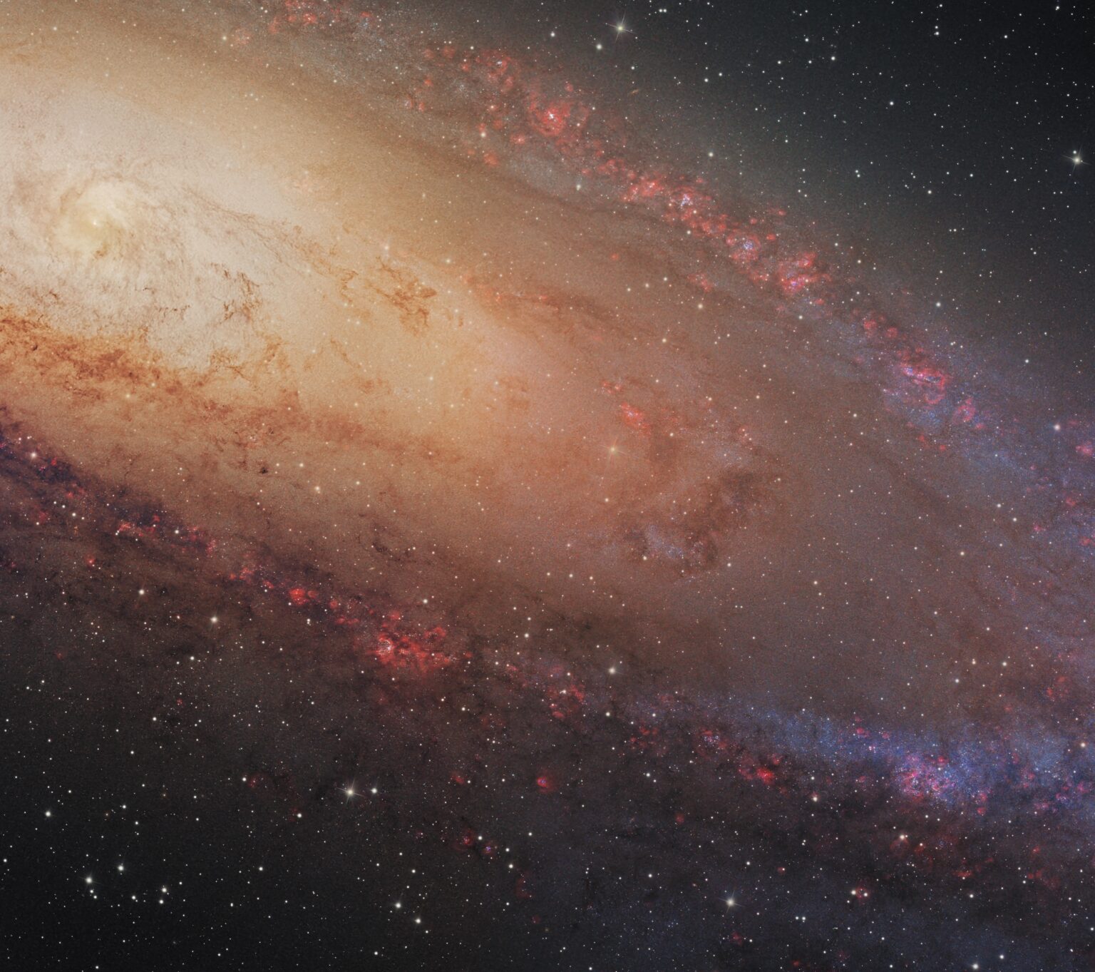 I saw someone posted my recent 400 megapixel Andromeda shot, but it was super compressed and downscaled. Here’s a crop from the full resolution so you can see the quality! I’ll also add more details in the comments. [OC]