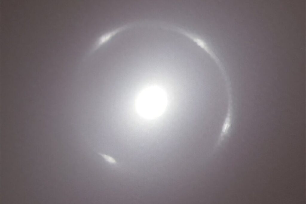 Euclid Telescope Spots Einstein Ring Wrapped Around a Galaxy