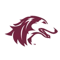 Southern Illinois University