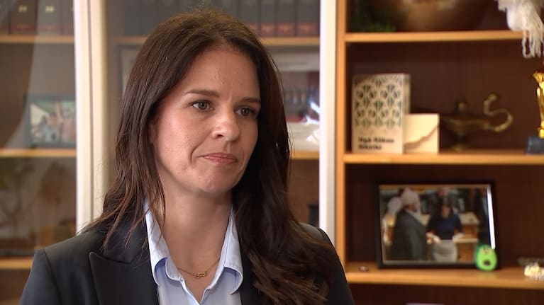 Education Minister Erica Stanford praised the teaching model in Singapore.