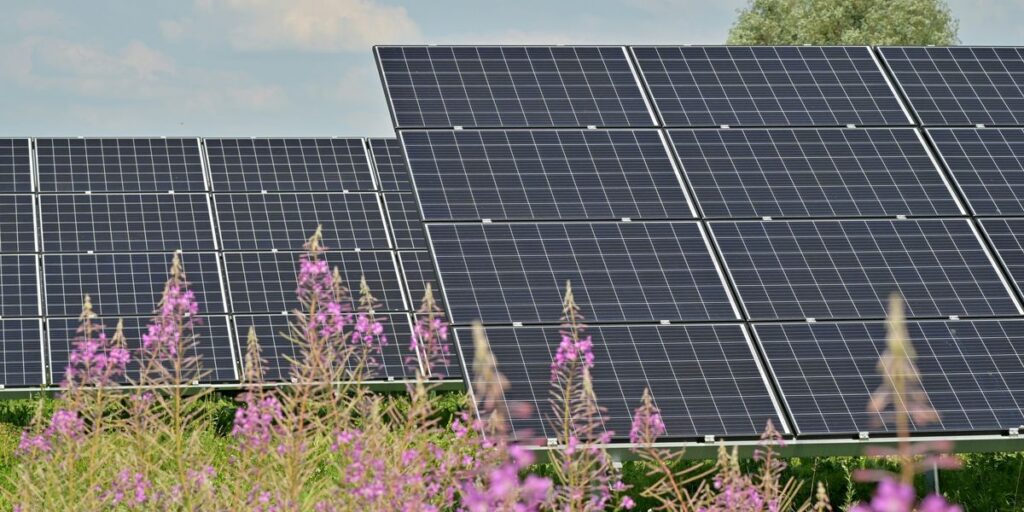IRA funding for Catholic organizations’ green energy uncertain under Trump administration