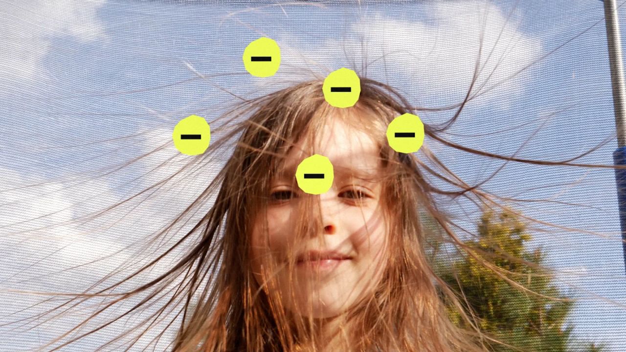 static-electricity-pets-hair-tirrell-image1.jpg