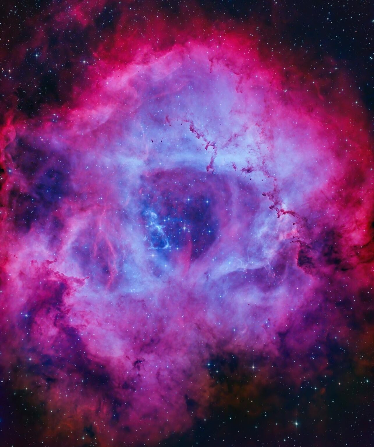 The Rosette nebula image taken from my backyard in the city.