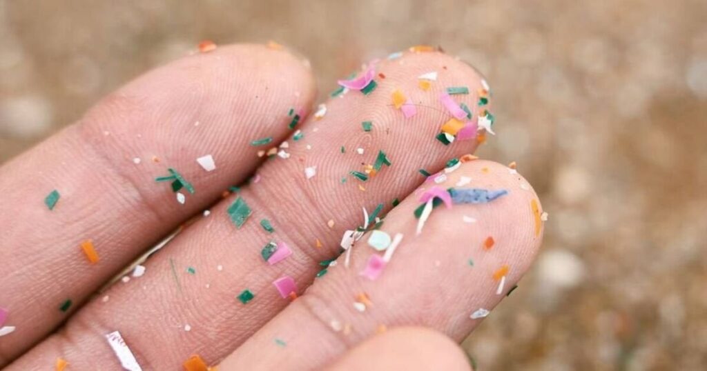 A new study has found that the human brain contains a higher concentration of microplastics than other organs