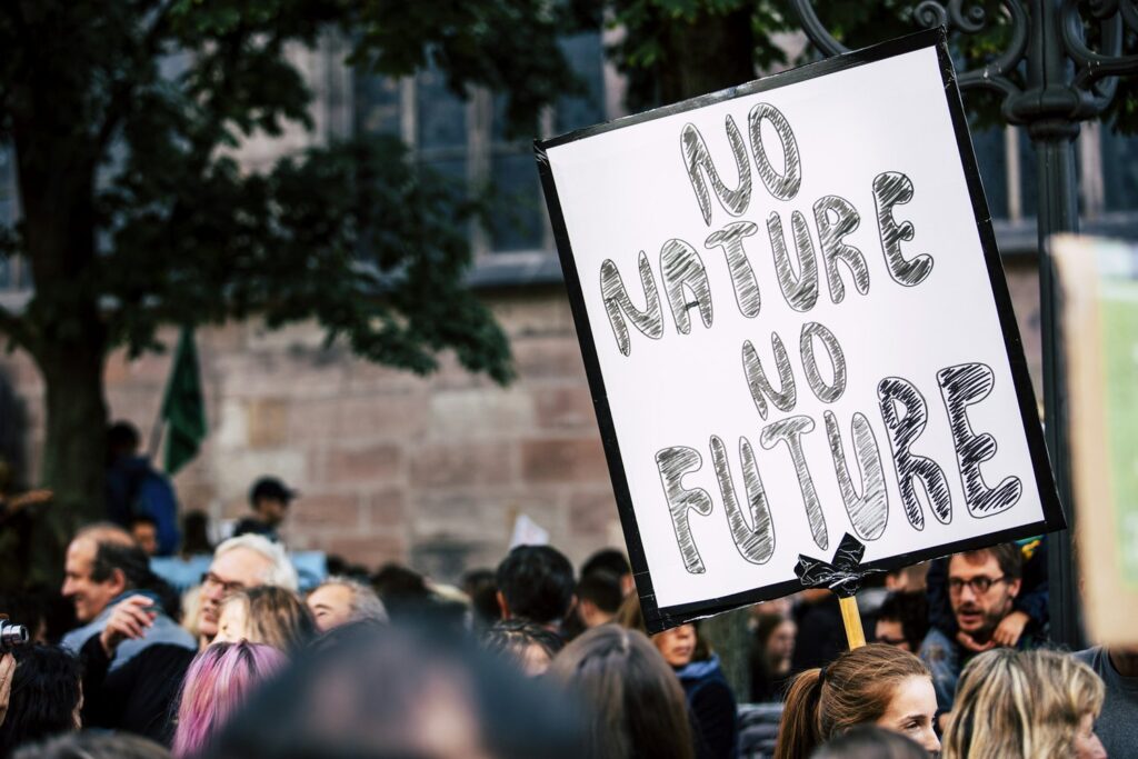 Churches Lead the Way in Environmental Stewardship