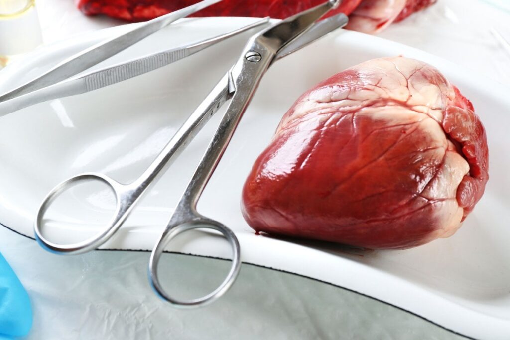 Next generation of heart regenerative therapies