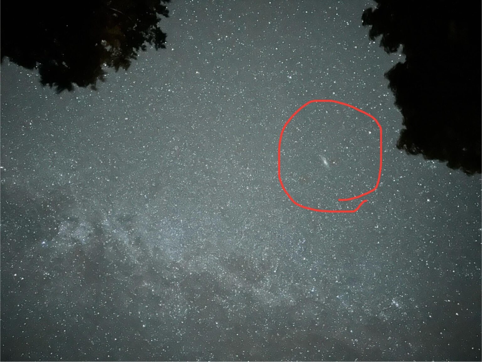 Is this Andromeda?