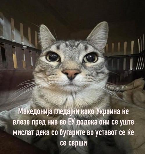 For legal reasons, this is a joke (не е баш)