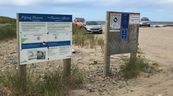 Despite signs indicating information about the piping plovers habitat and the no parking on the beach, vehicles continued to park on the beach at Big Glace Bay Lake, as shown in this 2022 photo.