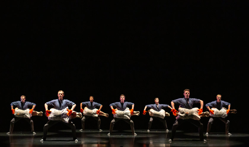 Wide shot, group of seven male and seven female dancers