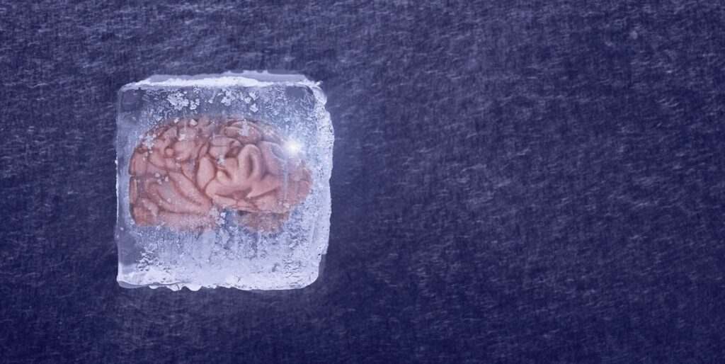 Scientist Successfully Revived Brain Tissue From Suspended Animation…Human Could be Next.